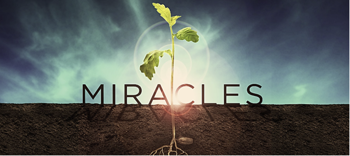 LES MIRACLES SONT POSSIBLES